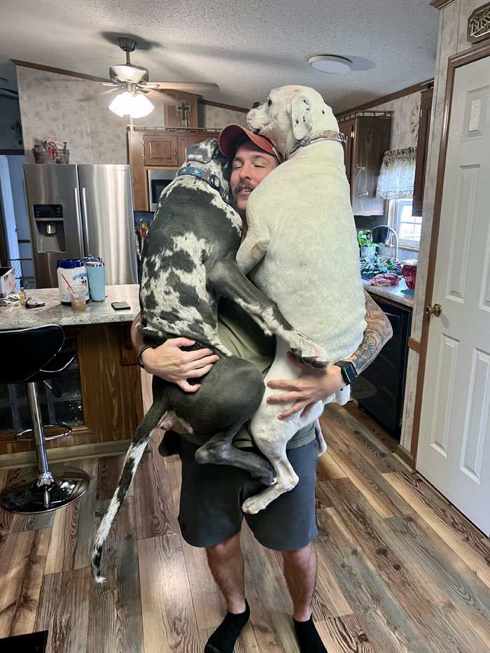 Not The Best Picture But It’s The Best I Could Get Holding The Great Dane And A Boxer