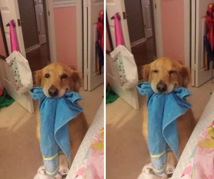 She Likes To Carry Around Random Rags For No Reason