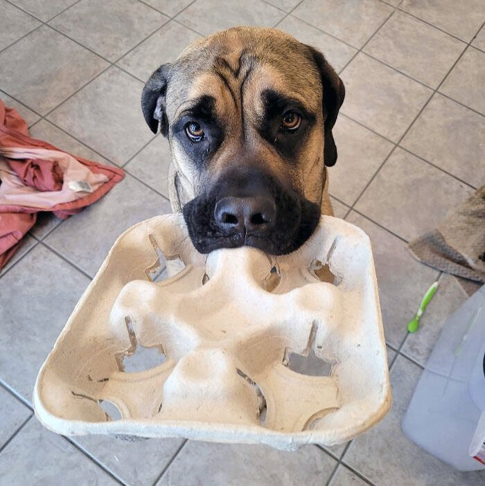 Arthas Brought Me Something