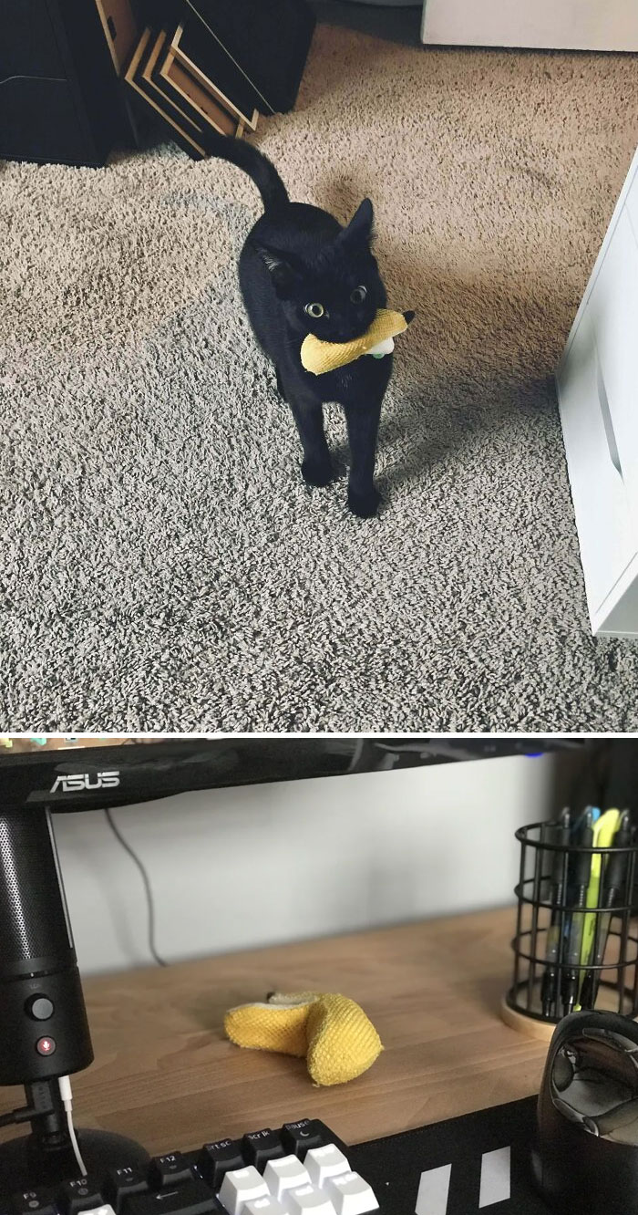 Today I Got A Gift Placed On My Desk