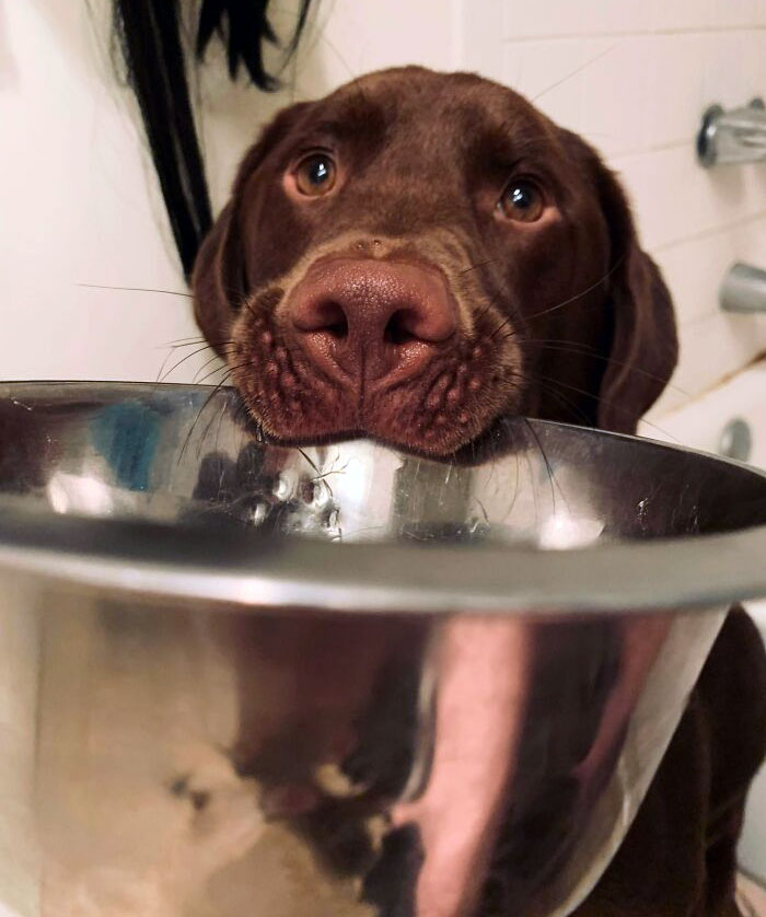 His Welcome Gift To People Is His Favorite Bowl