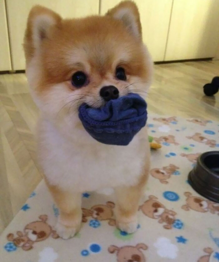 He Comes Bearing Gifts