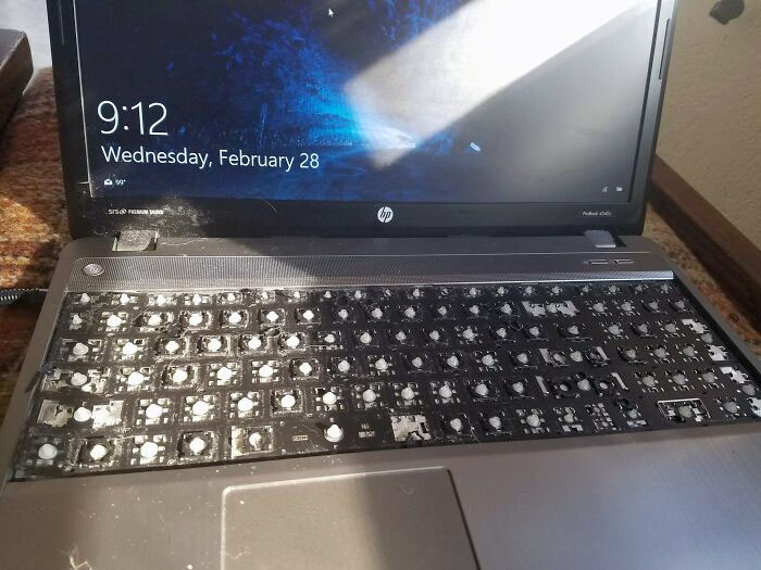 My 2-Year-Old Decided My Laptop Should Be On Hard Mode From Now On