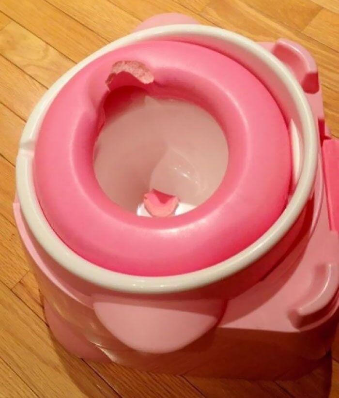 Trying To Potty Train My Teething Toddler. She Took A Chomp Right Out Of The Foam Seat