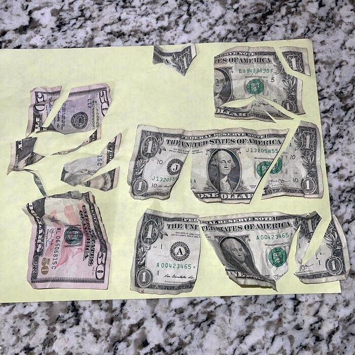 What Is More Expensive Than A Pair Of Scissors? A 3-Year-Old With $54 And A Pair Of Scissors