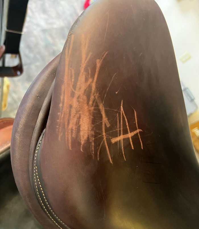 This Is Why It’s Important To Keep An Eye On Your Kids When They Are In Public Places. This Is A $4500 Saddle