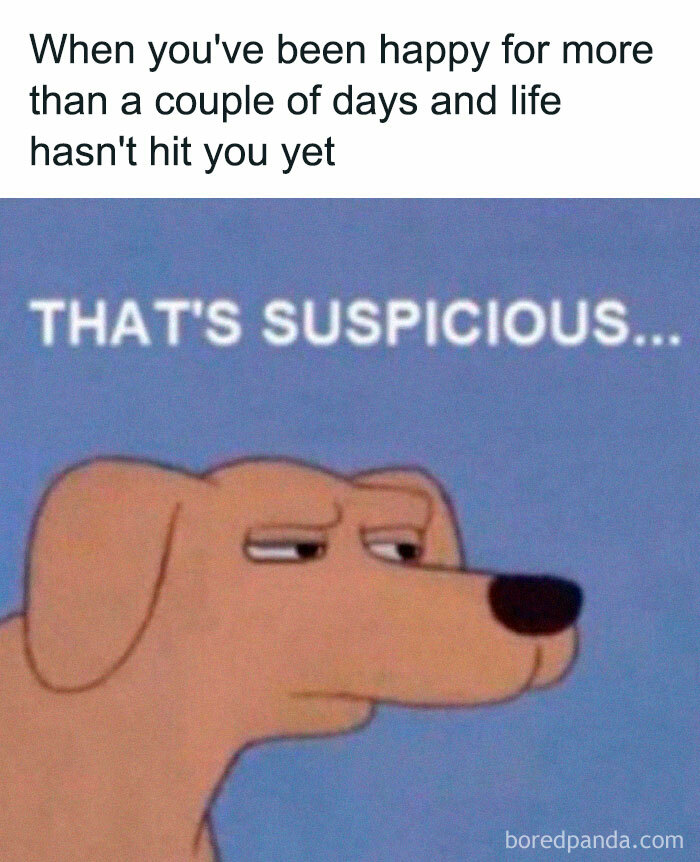 Meme showing a suspicious dog with text about happiness, fitting introvert friends memes shared on Instagram page.