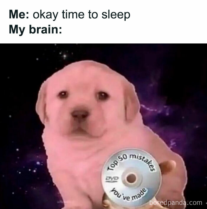 Meme showing a confused puppy holding a DVD labeled top 50 mistakes, for introvert friends memes.