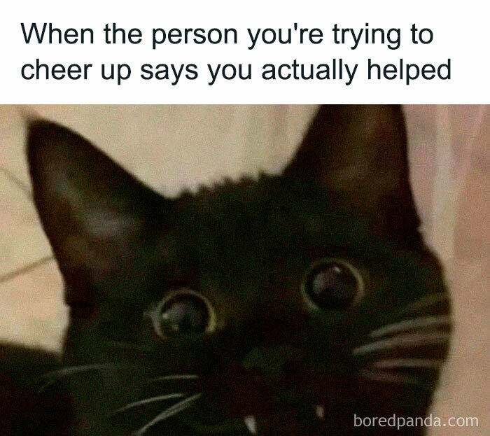 Black cat with wide eyes and caption about cheering up, a funny meme perfect for introvert friends to share.