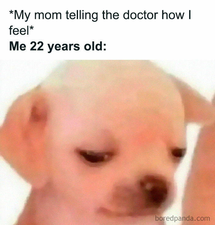 Funny-Relatable-Introvert-Memes