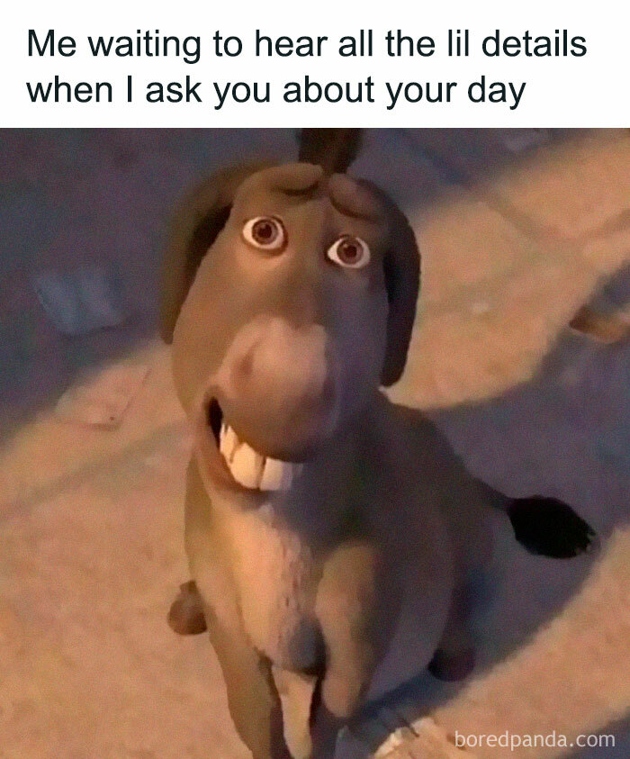 Funny-Relatable-Introvert-Memes