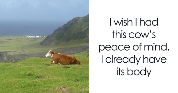 35 Memes To Send To Your Introvert Friends, As Shared On This Instagram Page