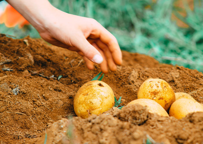 35 Times People Had To Go To Great Lengths To Keep Up The Lies They'd Told