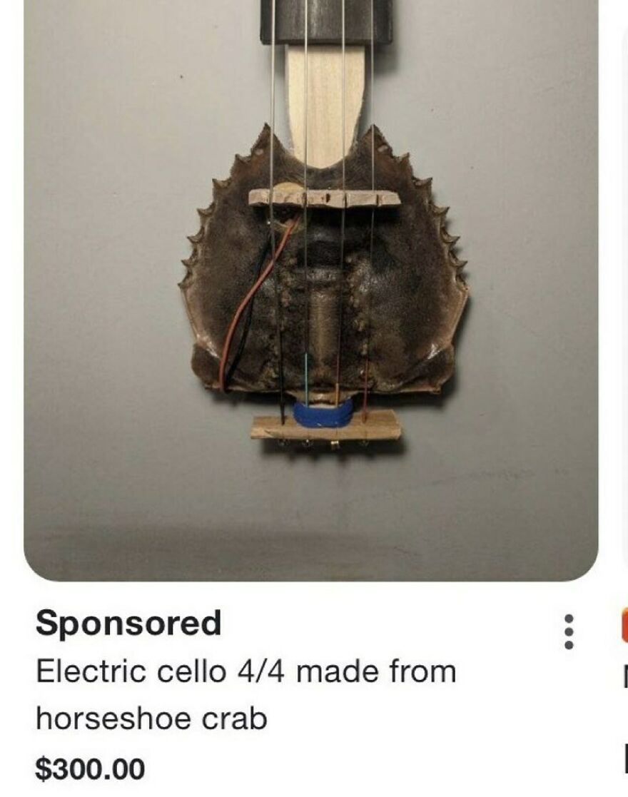 21 Cursed Musical Instruments