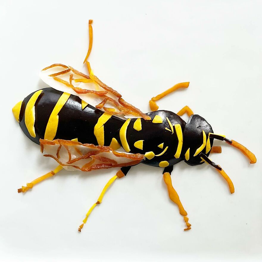 Wasp