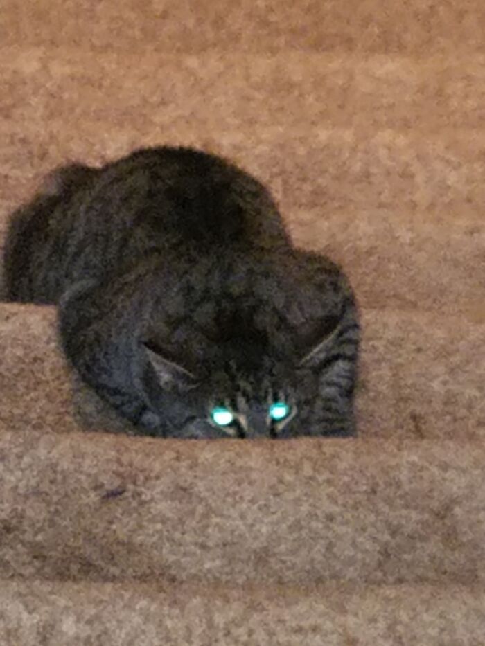 25 Images That I Found Clearing My Drive