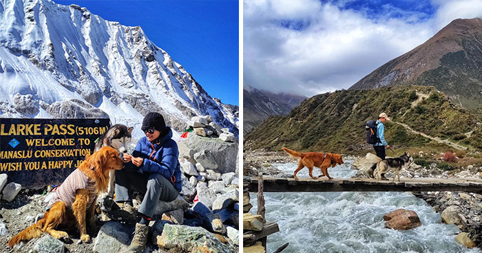 See How I Spent 18 Days Hiking Through Manaslu Circuit Together With My Dogs