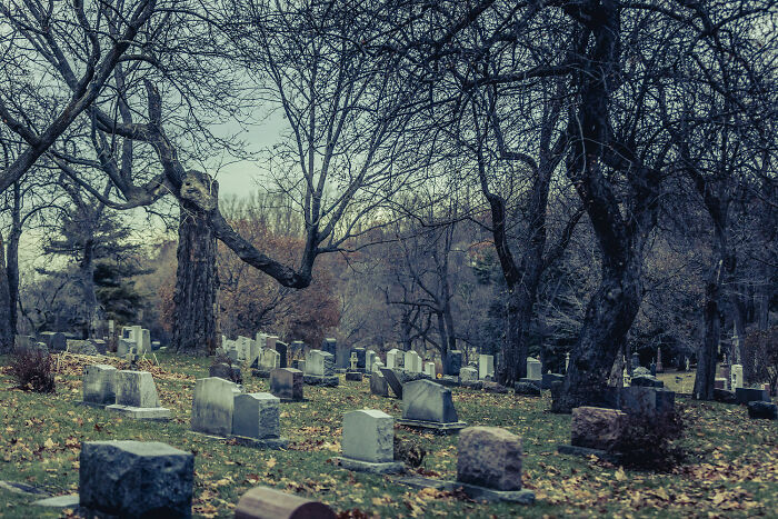 40 People Share Horrifying Facts That Shouldn’t Be True, But Are