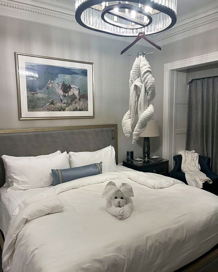 Volví a una habitación de hotel a oscuras, encendí las luces y me encontré con esto