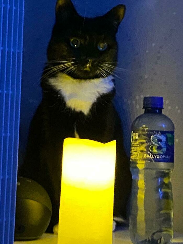 25 Images That I Found Clearing My Drive