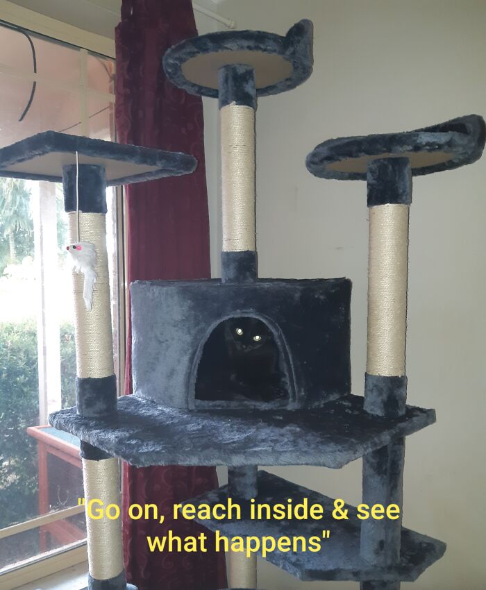 25 Images That I Found Clearing My Drive