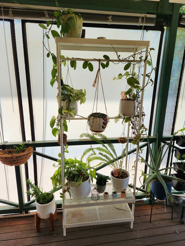 I Used The IKEA Mackapar On My Closed In Veranda For My Climbing Pots Plants. I Think It's Come Up Really Nice