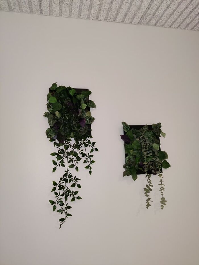 Went To IKEA Yesterday And Bought Some Stuff To Make Small Scale Plant Frames