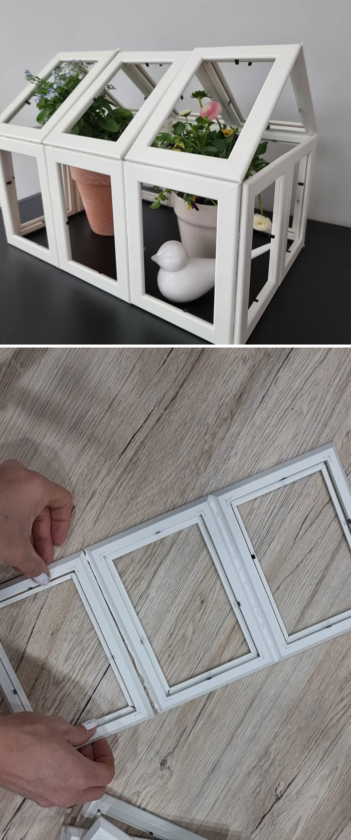 A Slightly Different Greenhouse Made Of Picture Frames