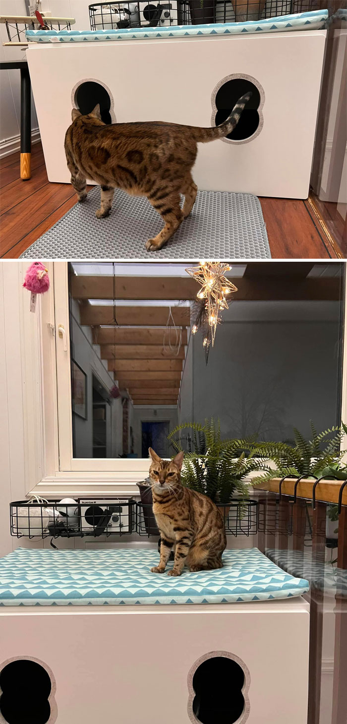 Upcycled An IKEA Toy Box, Aka Småstad, Into A Deluxe Litterbox