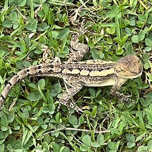 michaelknight_3 avatar