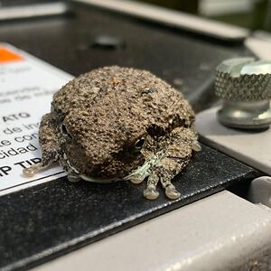 jaimeswanson_1 avatar