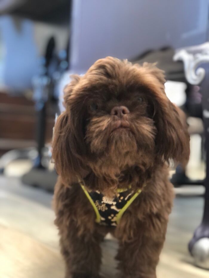 This Guy Has Loads Of Personality!