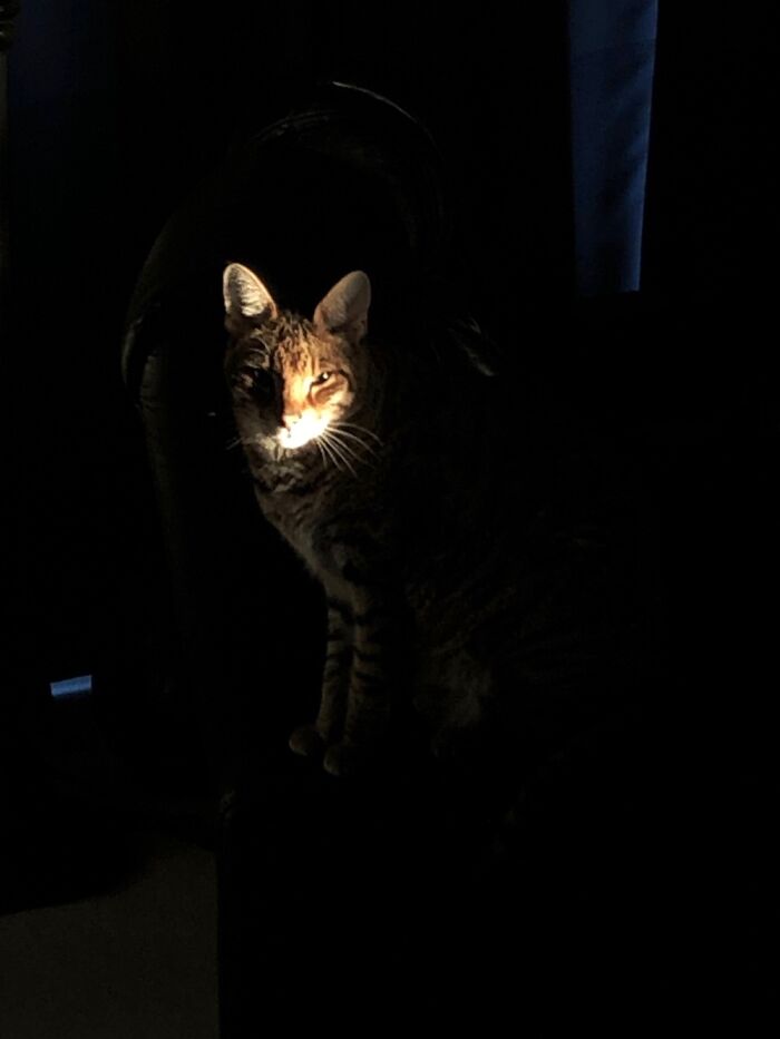 Morning Sun Peaking Through