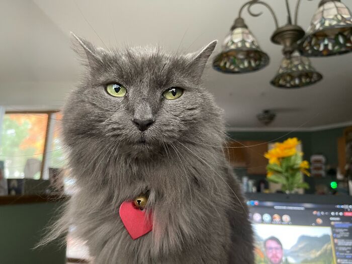 Dolce Looks Into Your Soul……