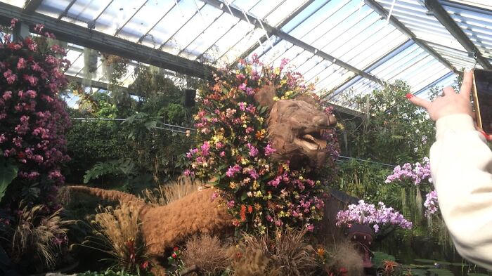 Orchid Festival At Kew Gardens, 2023 (15 Pics)