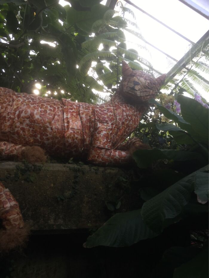 Orchid Festival At Kew Gardens, 2023 (15 Pics)