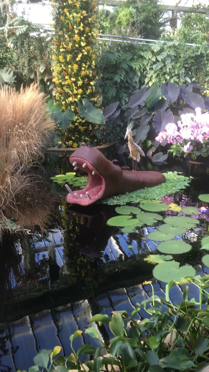 Orchid Festival At Kew Gardens, 2023 (15 Pics)