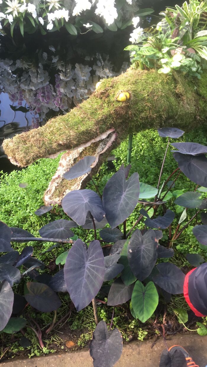 Orchid Festival At Kew Gardens, 2023 (15 Pics)