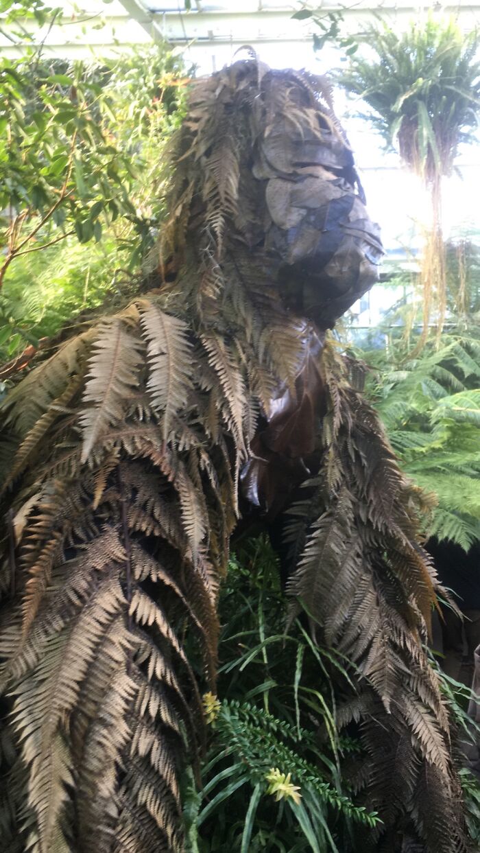 Orchid Festival At Kew Gardens, 2023 (15 Pics)