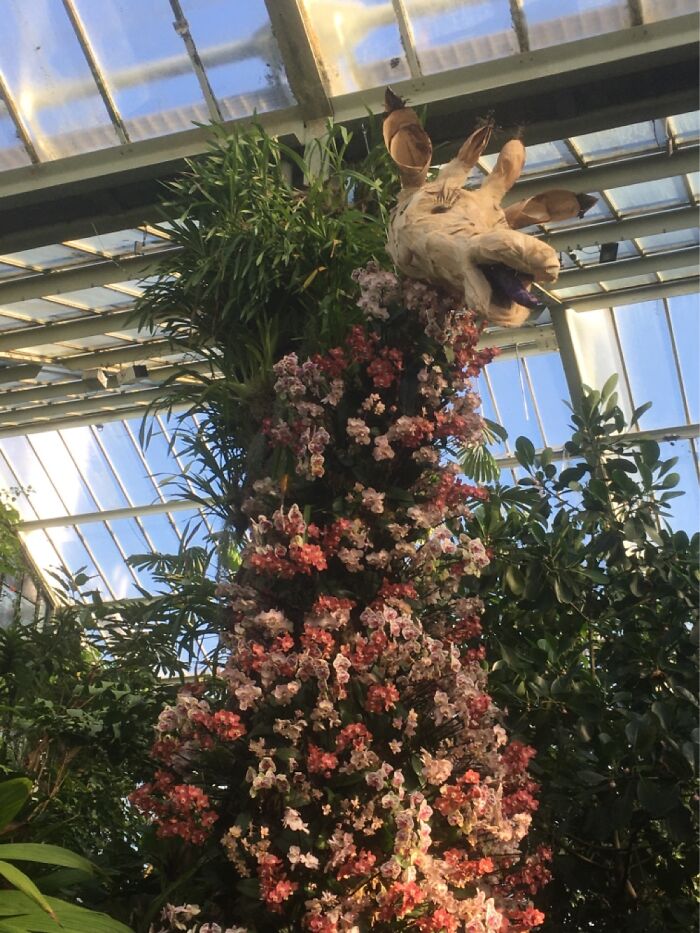 Orchid Festival At Kew Gardens, 2023 (15 Pics)