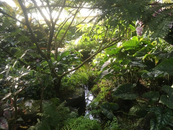 Orchid Festival At Kew Gardens, 2023 (15 Pics)