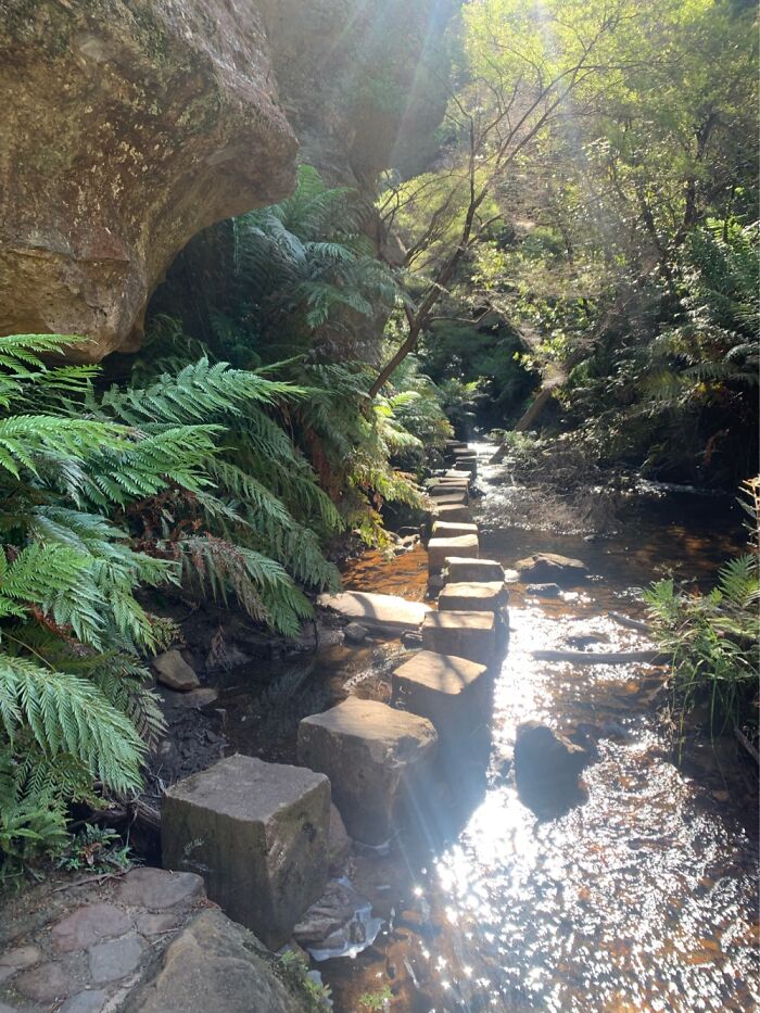 Blue Mountains Nsw Australia