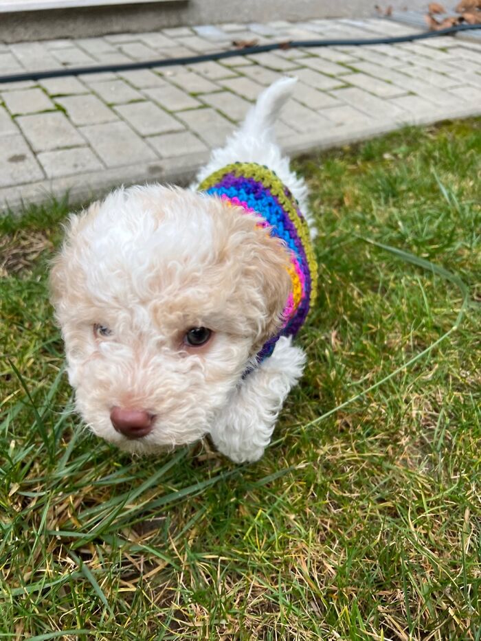 I Have This As My Wallpaper! This Is My Sweet Baby Isabella!