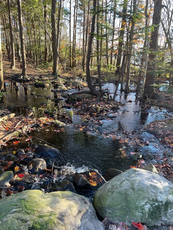 A Beautiful Park In Halifax Nova Scotia