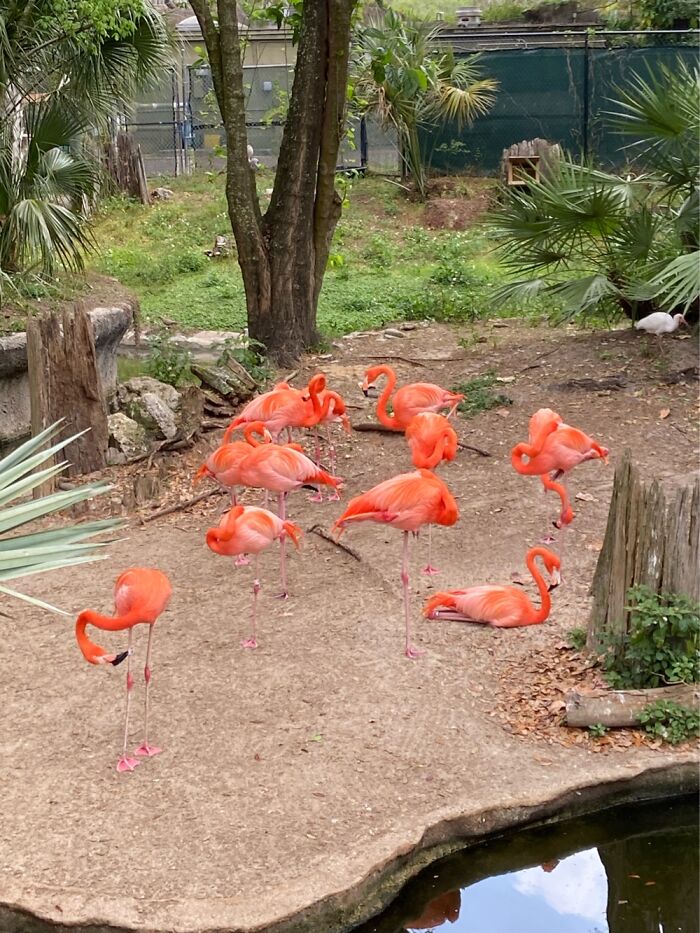 Tampa, Florida At A Lovely 87°f