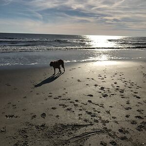 stephaniecooke avatar