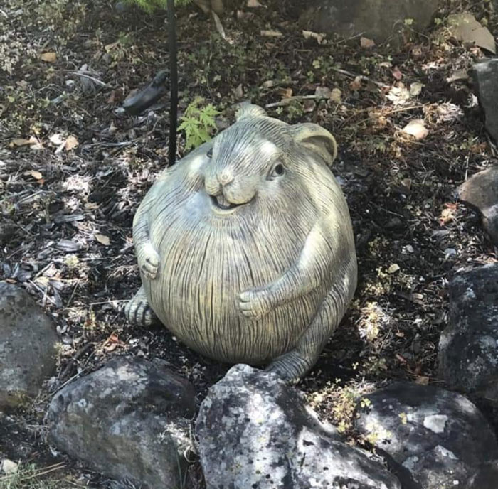 Images-With-No-Context