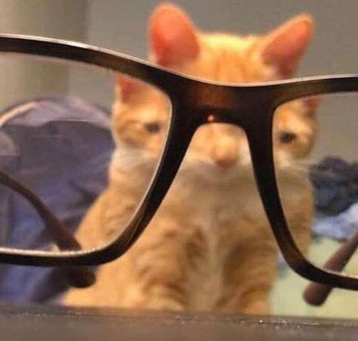 Images-With-No-Context