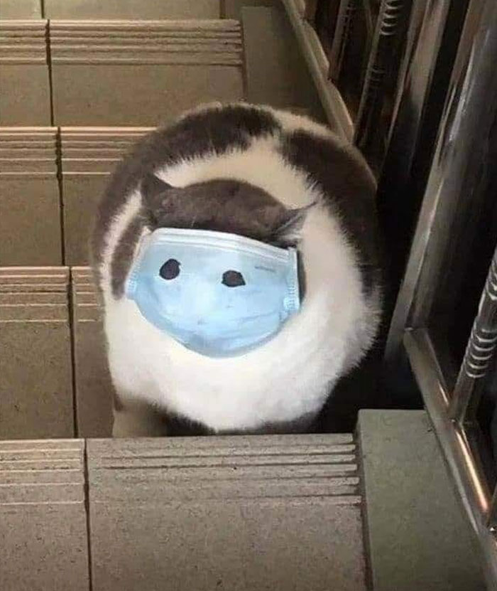 Images-With-No-Context