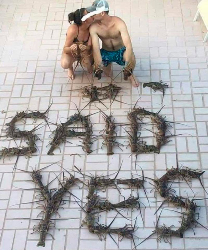 Images-With-No-Context